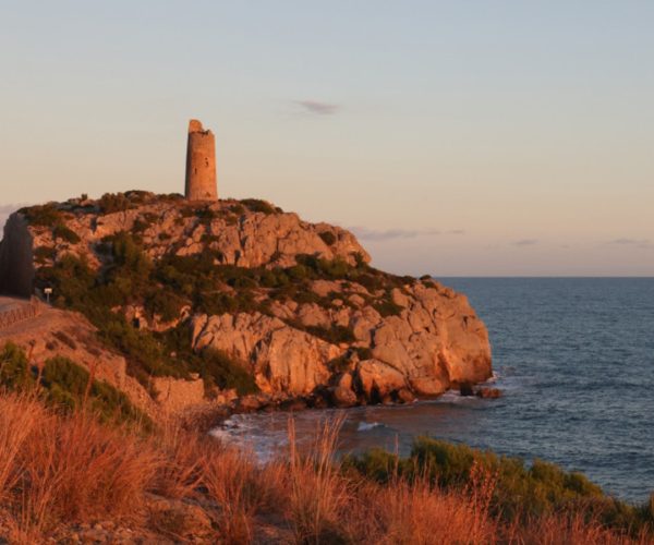 Diseño sin título (45)